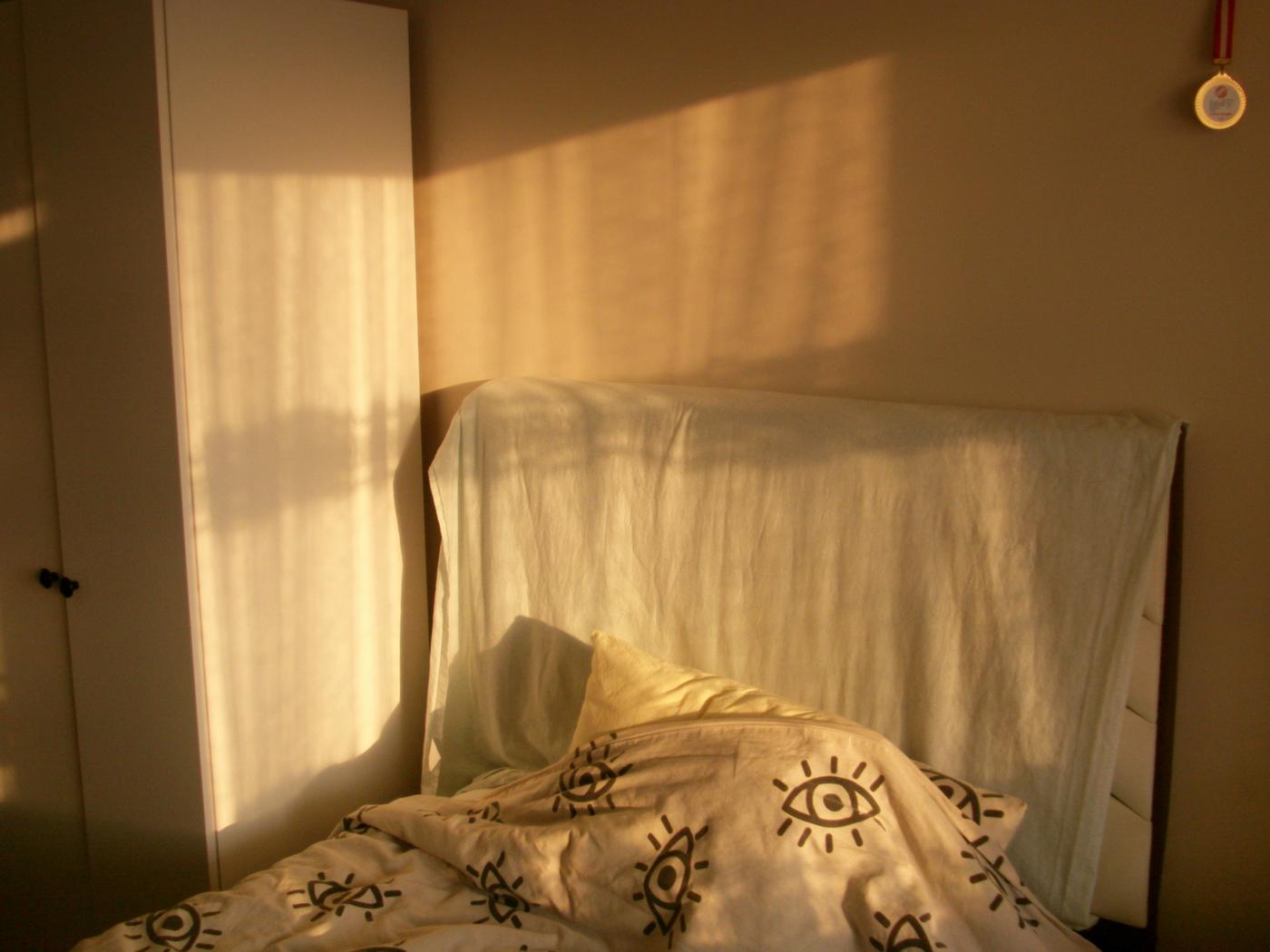 Warm morning light across a room