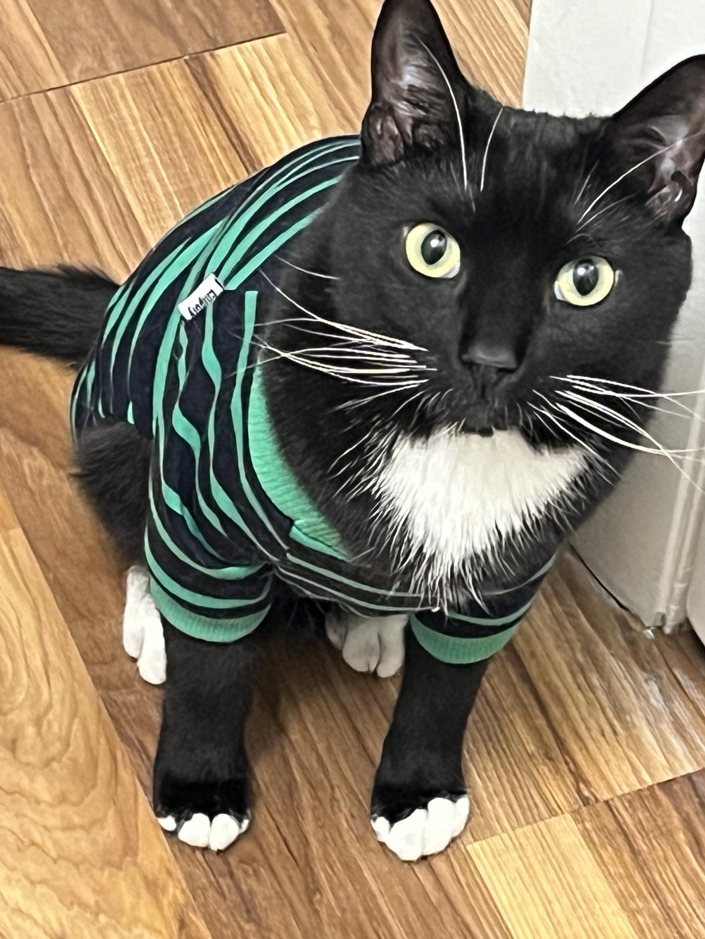 Wolff in his striped sweater
